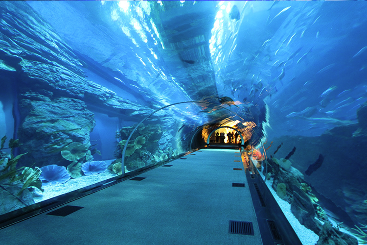 Oasis Enterprises Wins Lighting Installation Award For Dubai Aquarium